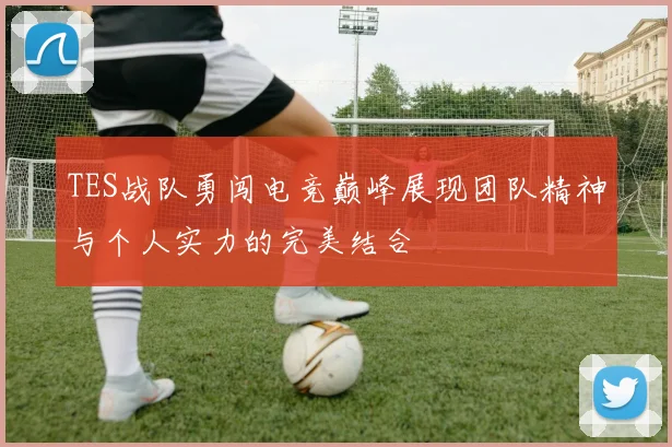 TES战队勇闯电竞巅峰展现团队精神与个人实力的完美结合
