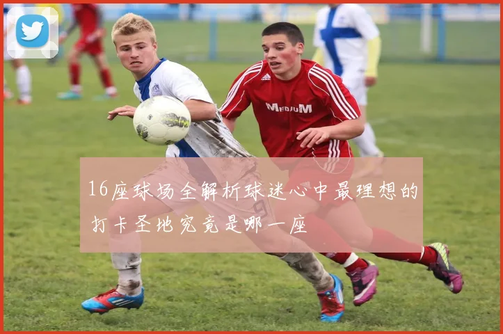 16座球场全解析球迷心中最理想的打卡圣地究竟是哪一座