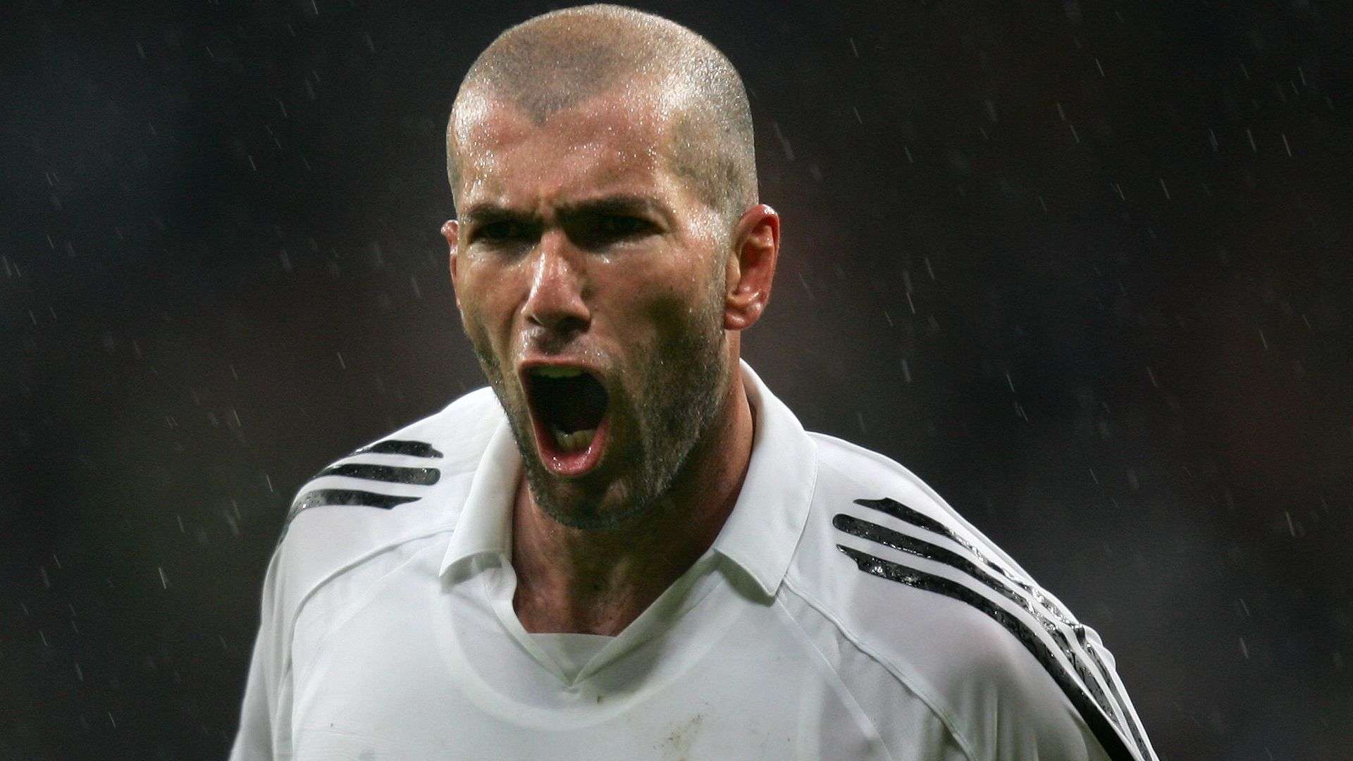 调上潜力新 调上潜力新